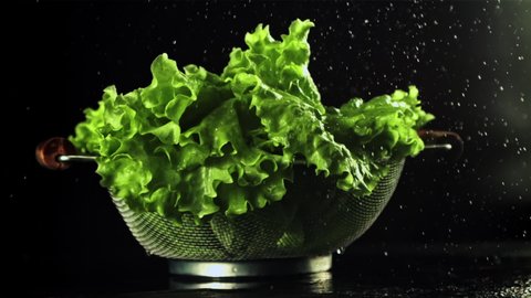 Water falls on the lettuce leaves in a colander. On a black background. Filmed is slow motion 1000 fps. High quality FullHD footage