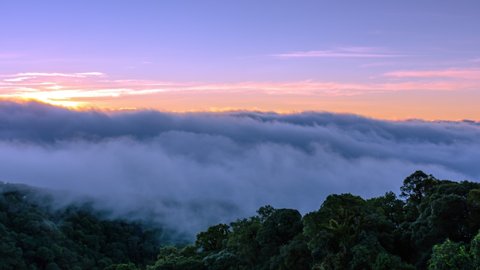 Time lapse of moving mist flowing on top hill at Doi Inthanon National Park, Chiang Mai Thailand. Time lapse nature landscapes in morning time.