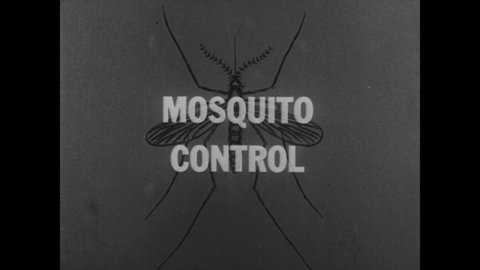CIRCA 1936 - Oil is sprayed on mosquito breeding grounds in New Jersey to get the pest population under control.