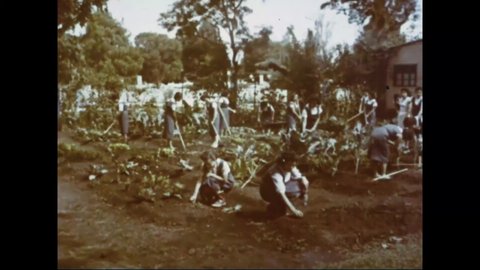 CIRCA 1939 - Prison labor is used to farm Devil's Island.
