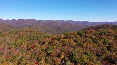 BLUE RIDGE MOUNTAINS, GEORGIA - CIRCA 2020s - Beautiful aerial of trees turning color in the Chattahoochee�Oconee National Forest.
