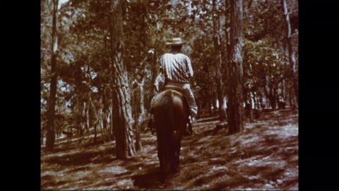 CIRCA 1960s - A horseman rides through a forest in Guatemala.