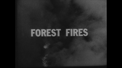 CIRCA 1936 - Men from the WPA and Civilian Conservation Corps establish fire prevention protocols in Michigan forests.