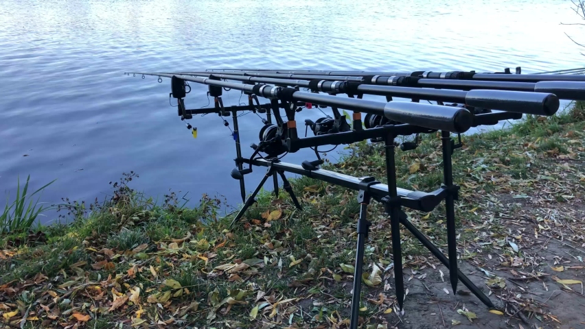 free carp fishing gear