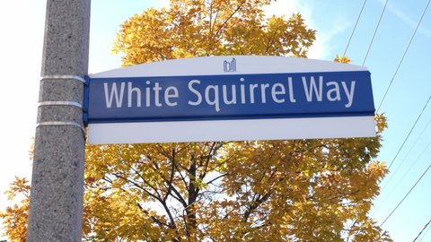 TORONTO, ONTARIO, CANADA - Nov 10th, 2021: White Squirrel Way in Toronto, Canada. The sign gets its name from albino squirrels that have been spotted in the area.