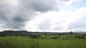 Scenery of Tung Salang Luang National Park, video HD slider slow