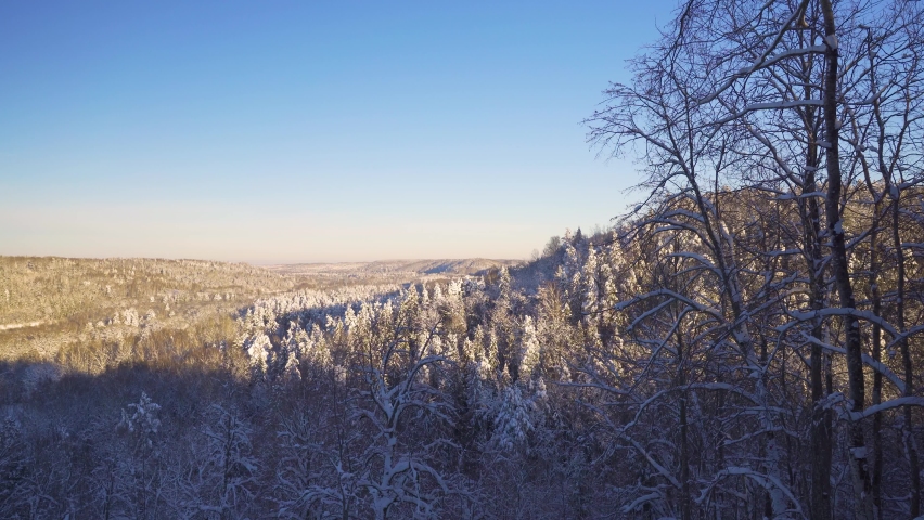 Forests in winter on the banks of the Gauja river in Sigulda. Popular viewpoint of the National Park Valley in Latvia. Hilltop Turaida Castle. Snow on evergreen firs and devyas.
