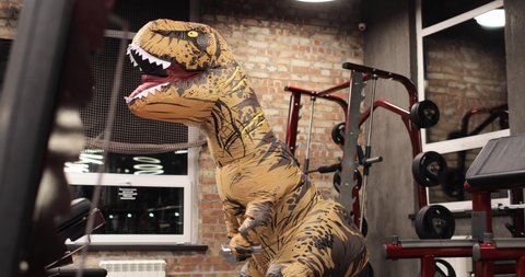 Big dinosaur doll with person inside in the gym, trains, does biceps exercise. Good mood during training. Inflatable doll. workout training with prehistoric animal. Tyrannosaurus Rex dinosaur.