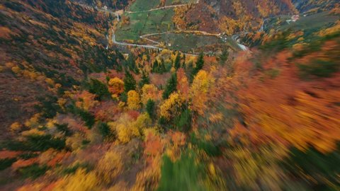 FPV motion flight in cinematic wonderful wild forest trees environment on autumn season.The fpv drone flies down the mountain over the autumn-colored trees. 4K. Black Sea Highlands. วิดีโอสต็อก