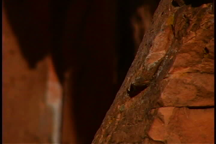 Man rock climbing