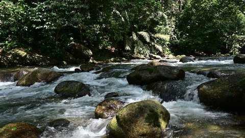 Kedah Stock Video Footage - 4K and HD Video Clips  Shutterstock