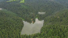 A drone flies over a small lake surrounded by forest. Location place lake Synevir, Carpathian mountains, Ukraine, Europe. Cinematic aerial shot. Discover the beauty of earth. Filmed 4k, drone video.