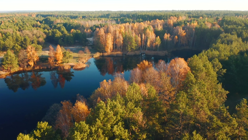 Attractive view from drone to the protected area at dawn. Bird