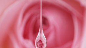 Super slow motion with rose bloom reflection in falling water drop. Macro background. Filmed on a high-speed camera at 1000 fps. - Powered by Shutterstock - Get 15% off with code: PIKWIZARD15