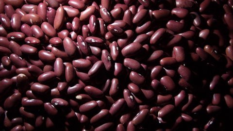 Red beans legumes with a intimate light, rotation