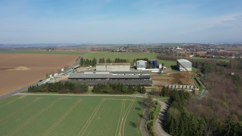 Dairy cows cowshed feeding barn drone aerial video shot, Holstein Friesian cattle breed milk, cow eat corn silage feed, cowshed is a modern and not bricked, Holsteins in North America