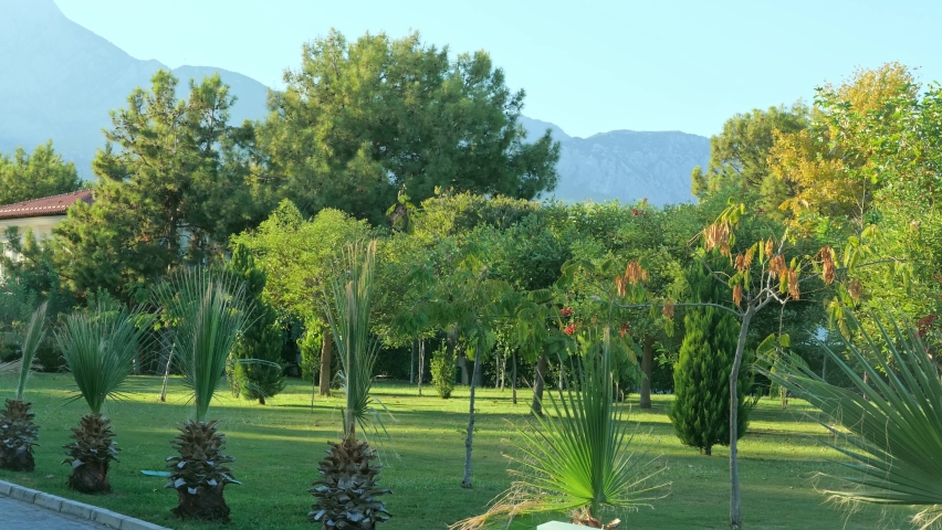 Exotic tropical botanical garden with trees and palms with view on amazing beautiful mountains on the background. Panorama. Countryside garden of the farm