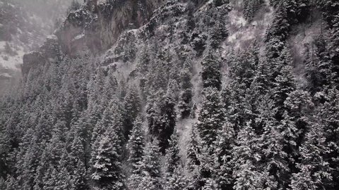 Snowing alpine forest winter aerial landscape views