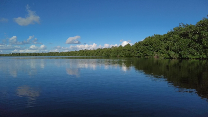 Kayaking on Coot Bay Pond in Everglades Ntional Park, Florida on sunny tranquil winter afternoon 4K.