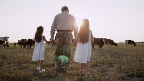 Back view at loving grandfather and little carefree kid granddaughters walking in field with going cows together holding hands at sunset outdoors. Countryside natural farm, rural life, family leisure