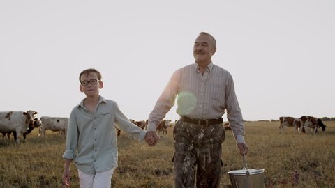 Happy smiling old man carrying bucket with cows milk, joyful child boy together walk in field holding hands at countryside sunset. Funny family leisure outdoors of grandfather, grandson enjoying farm