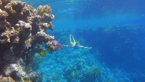 Slow motion: Young man snorkelling on vacation. Male enjoying snorkel trip dives underwater to explore colourful coral reef 