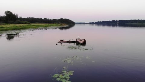 Two birds stand on rust wrecks of sunken vessel in water of river. Orbiting shot, aerial camera fly around fearless gulls. Late evening hour, swampy and overgrown island on background