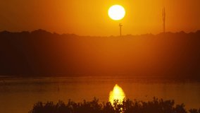 video of sunset and silhouettes of birds flying. Beautiful Clear Big Sunrise or Sunset Close up. Big Red Hot Sun with its reflection on the lake water