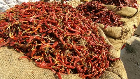 Dried red chilies in a jute sack, India