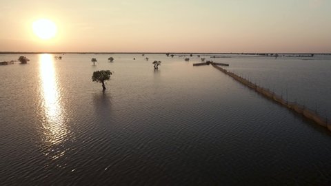 Golden Sunset over the Tonle Sap lake flood planes as the floodwater recedes revealing isolated lonely trees and an arrow headed fish trap. Low drone fly over.