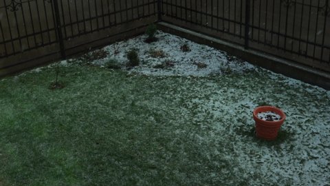 first white small snow flakes falling on green grass and garden plants in backyard surrounded brown fence, autumn daytime weather. 