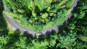 Aerial view of mountain twisted road through the forest. Mountains in summer and clean road through forest. Epic drone footage of highway in the wild mountain scenery. 