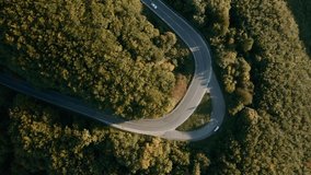 Road trip through an autumn coloured forest. Aerial drone point of view of a curved road in a forest with a car and a motorcycle driving fast.
