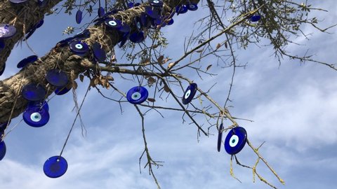 tree, olive tree decorated with blue evil eye beads against beautiful sky in a sunny day for good luck. evil eye beads known as "nazar boncuk" in Turkish, Turkey. noise effects