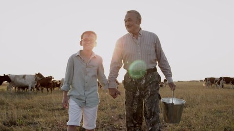 Happy smiling old man carrying bucket with cows milk, joyful child boy together walk in field holding hands at countryside sunset. Funny family leisure outdoors of grandfather, grandson enjoying farm