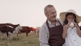 Happy sweet little granddaughter drinks organic fresh delicious cows milk sitting on smiling farmer grandfather's lap in animal meadow at sunset outdoors. Healthy food production, natural farm dairy - Powered by Shutterstock - Get 15% off with code: PIKWIZARD15