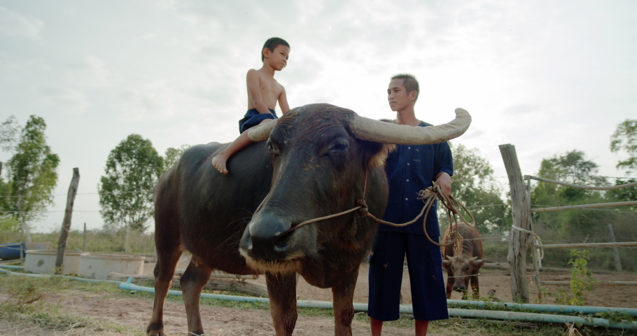 A father in traditional clothes and a son who sitting on a buffalo