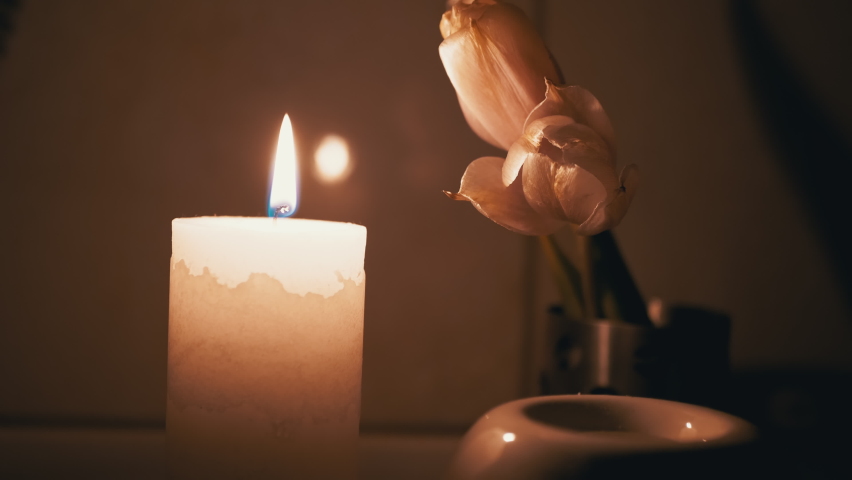Paraffin Candle Burns with a White, Moving Flame on a Table with Two Tulips. Wax candle on a table in a room. The concept of memory, ritual, celebration. Church rites. 4K. Close up. Royalty-Free Stock Footage #1083879826