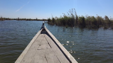 Boat trip in the Mesopotamian Iraqi Marshes with the so called Marsh Arabs (Madan)