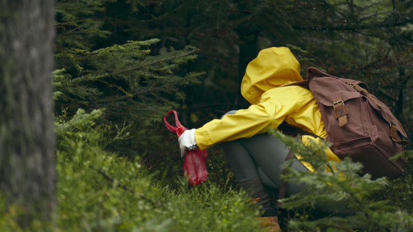 joyful woman in yellow raincoat ripping off a Mushroom boletus in green thickets in wet wood after rain. Season collecting ceps. Porcini Mushrooms. Mushroom picking in the forest at autumn season. Royalty-Free Stock Footage #1083887056