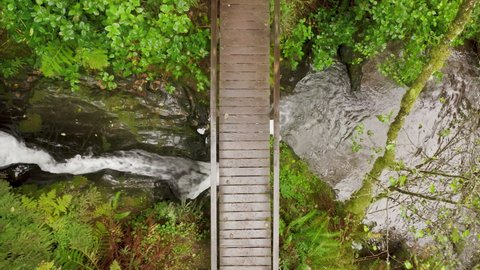 Top down view on cinematic wet wooden bridge over small scenic rapid river in green rainforest canyon. Nature travel adventure concept still footage with copy and text space for background concept 4K