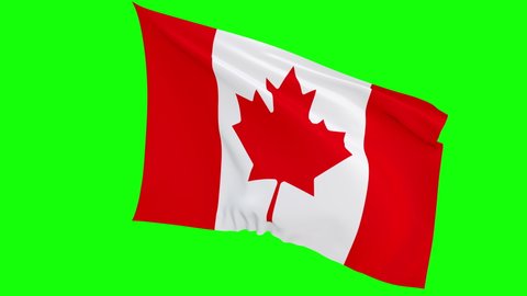 Canadian flag video. 3d Flag Motion video. Motion Seamless Loop 4k resolution. Isolated on green background