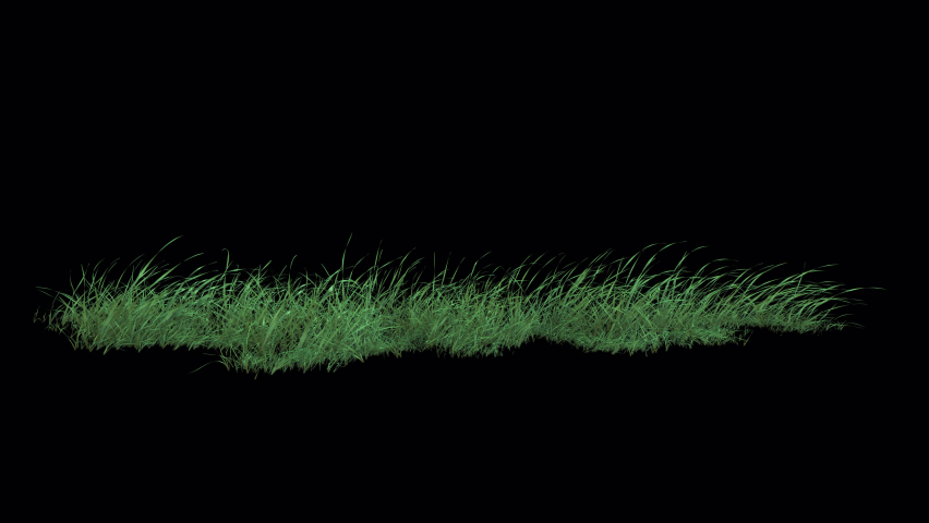 Grass Wind Seamless Loop with Luma Matte. 3D rendering. Element footage place on footage or background and easier to adjust color. | Shutterstock HD Video #1083900199