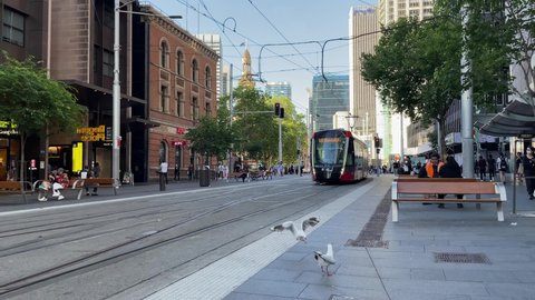 Sydney, Australia - December 13, 2021: Tram passing through George Street at afternoon time.