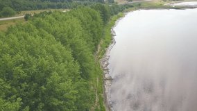 Flying above river bank with scattered wooden logs. Clip. Aerial view of a wide river shore with lush row of growing green trees on cloudy sky background.