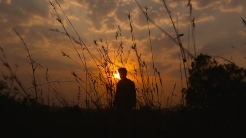 Silhouette of person against golden sunset with wisp in foreground