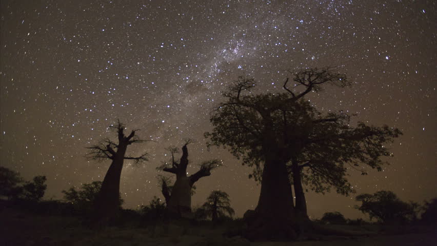 4K Star time-lapse, milky way galaxy moving across the night sky and moon rising with baobab trees in the foreground, Botswana Royalty-Free Stock Footage #10839263