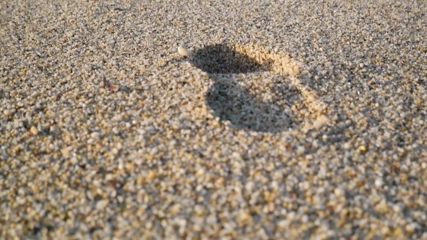 Footprints in the sand going into the birch sea Royalty-Free Stock Footage #1083927247