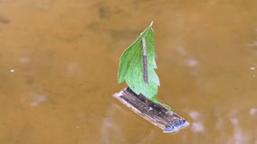 A Small Homemade Children Wooden Boat Floats with the River. Lonely toy ship sways on waves, reflected on surface of clear water. Sailboat with a green leaf in sunset. Game, dream, trip, discovery.