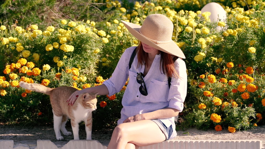 Iron. The woman is stroking the cat.